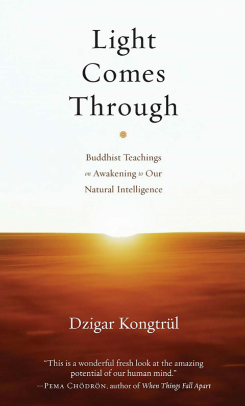 Light Comes by Dzigar Kongtrul (PDF) - Click Image to Close